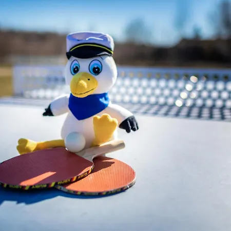 Apartment Lagovida Möwenblick E Am Störmthaler *