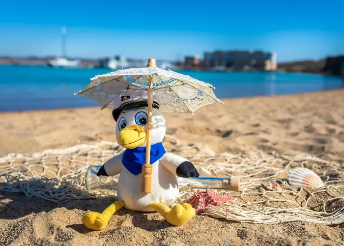 Lagovida Moewenblick E Am Stoermthaler *